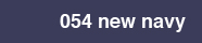 054  New Navy